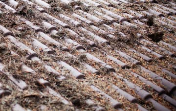 Auchenheath roof cleaning companies